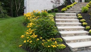 Stone steps and walkways with landscape design