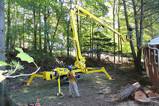 Artistic Tree & Landscape Creations tree services — advanced Spider Lift equipment