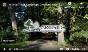Greater Pittsburgh Tree Service and Professional Arborist Video Thumbnail