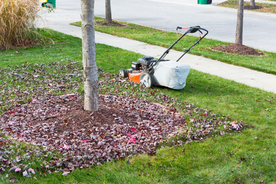 Fall Mulch Removal