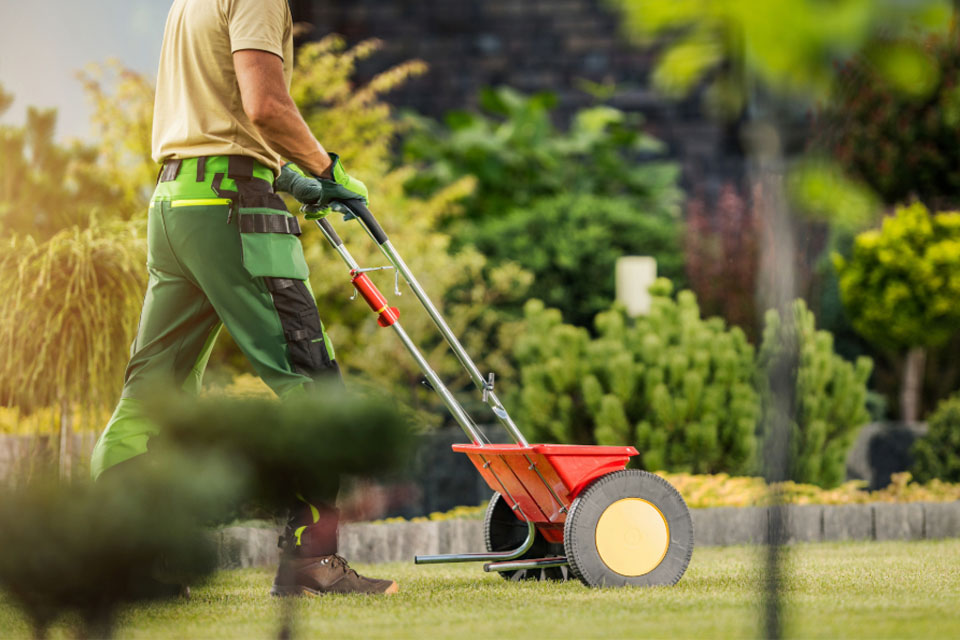 Lawn Fertilizer