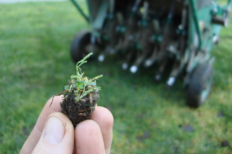 Spring Lawn Aeration