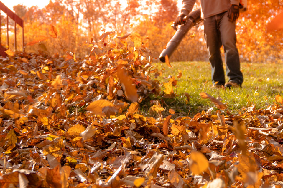 Weekly Lawn Service Lawn Mowing Service