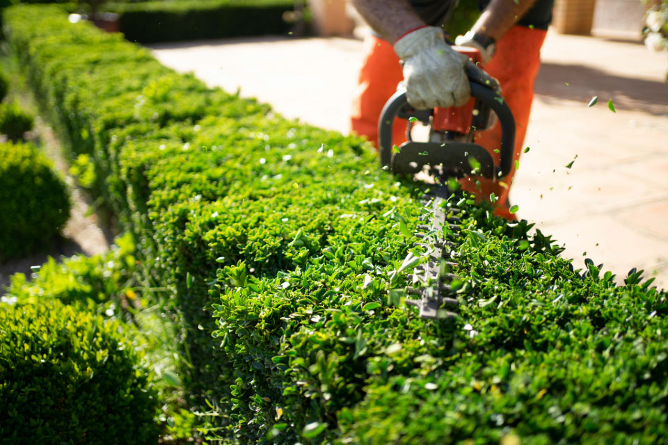 Weekly Lawn Service Lawn Mowing Service